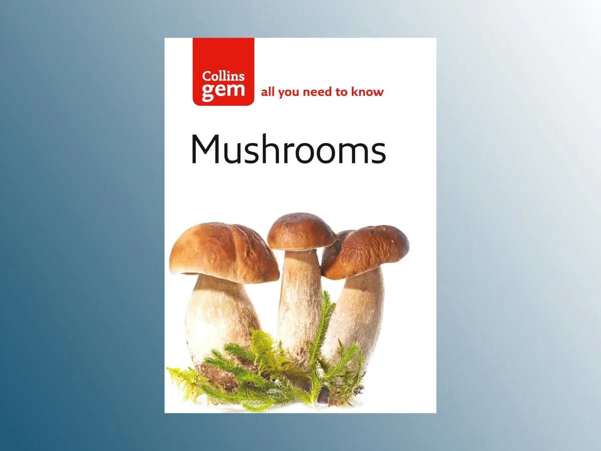Mushrooms guide 