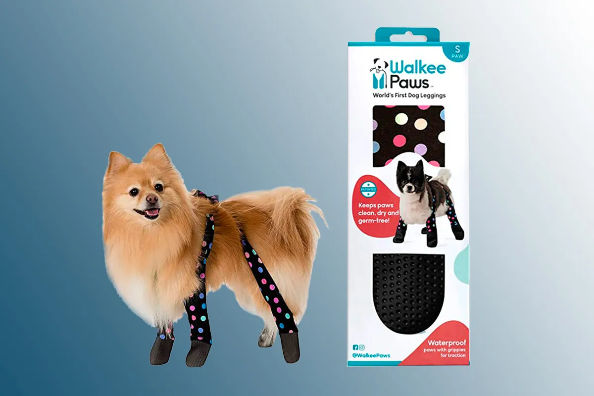Walkee Paws Adjustable Fit Dog Leggings on a blue background