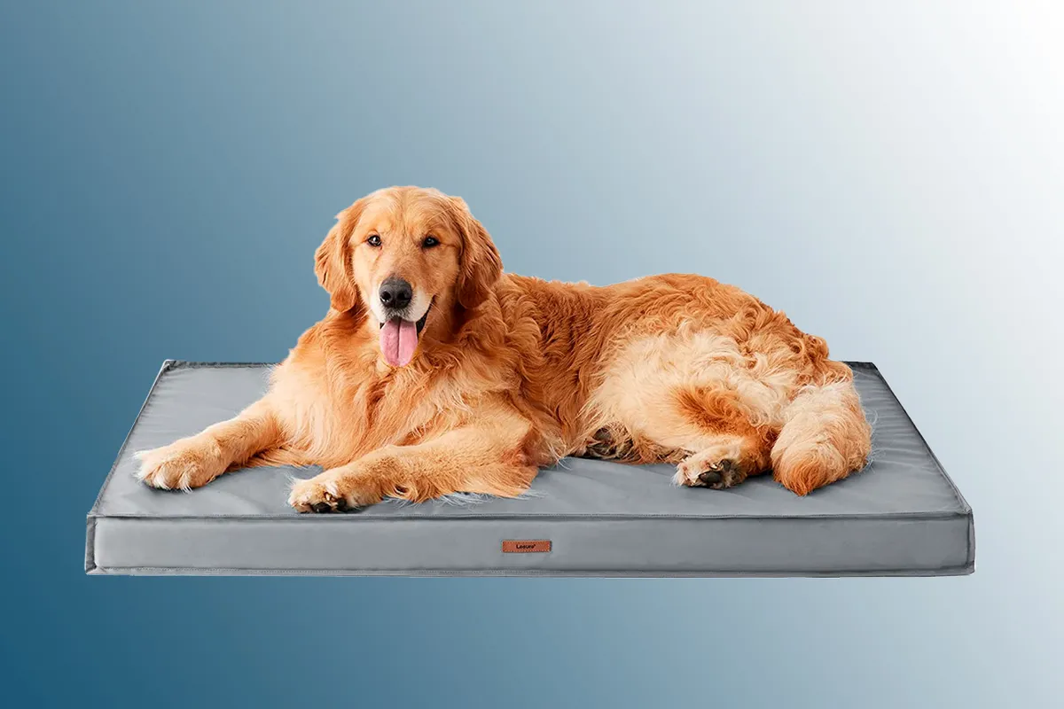 Lesure Waterproof Dog Bed