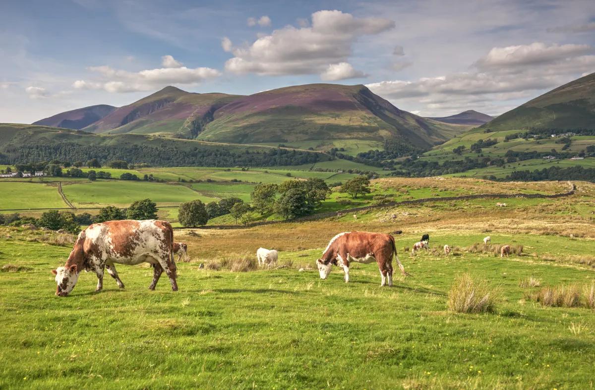 Skiddaw and Lonscale Fell