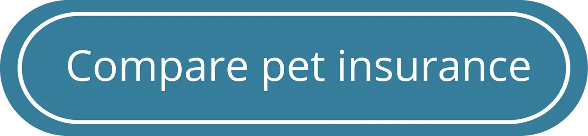 Best pet insurance - Quote tool