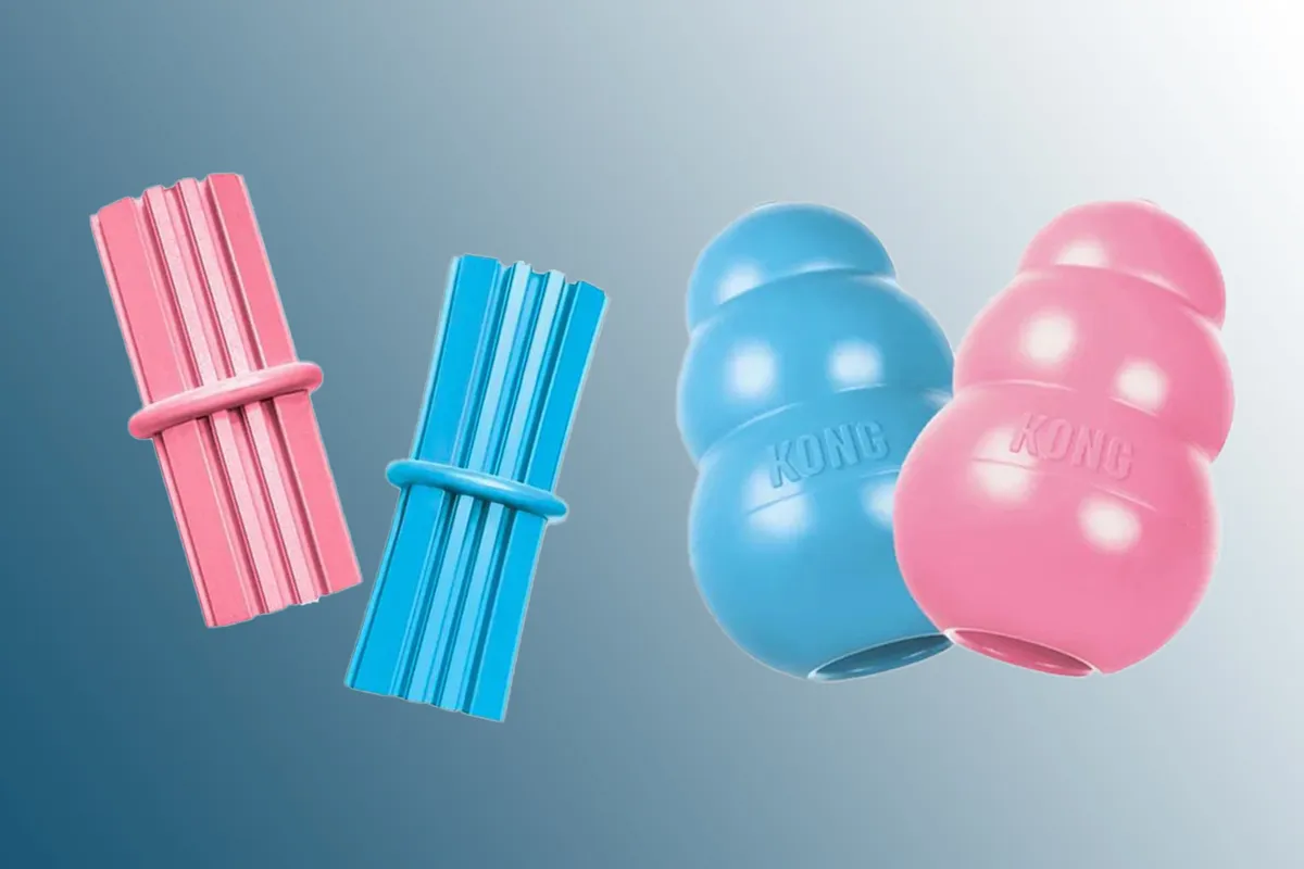 Kong Puppy Toys on a blue background