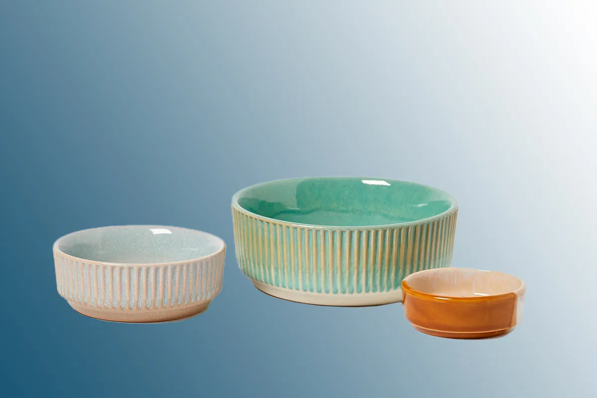 Oliver Bonas Paw Print Ceramic Dog Bowls on a blue background