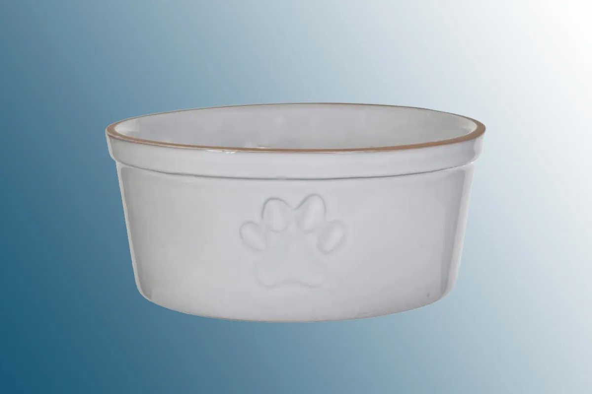 Garden Trading Paw Print Pet Bowl on a blue background