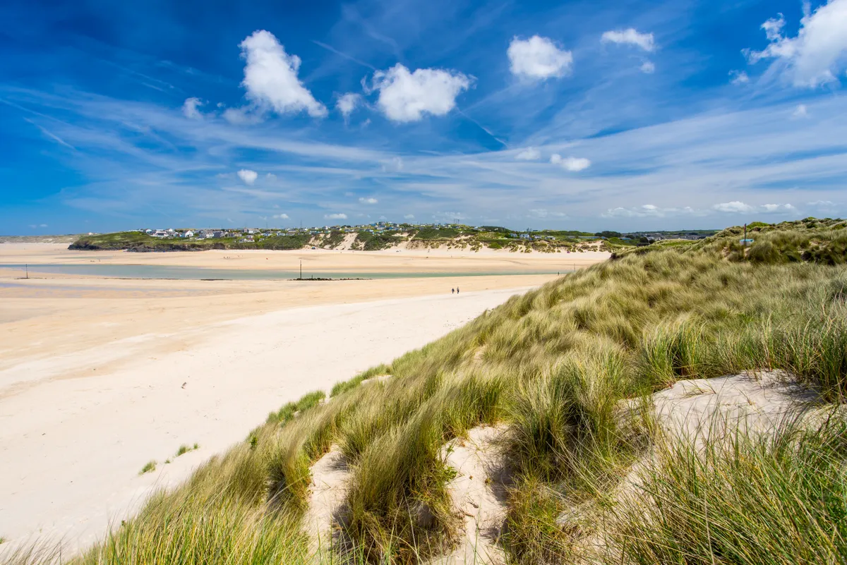 Porthkidney Sands in Cornwall with dune grasses in foreground