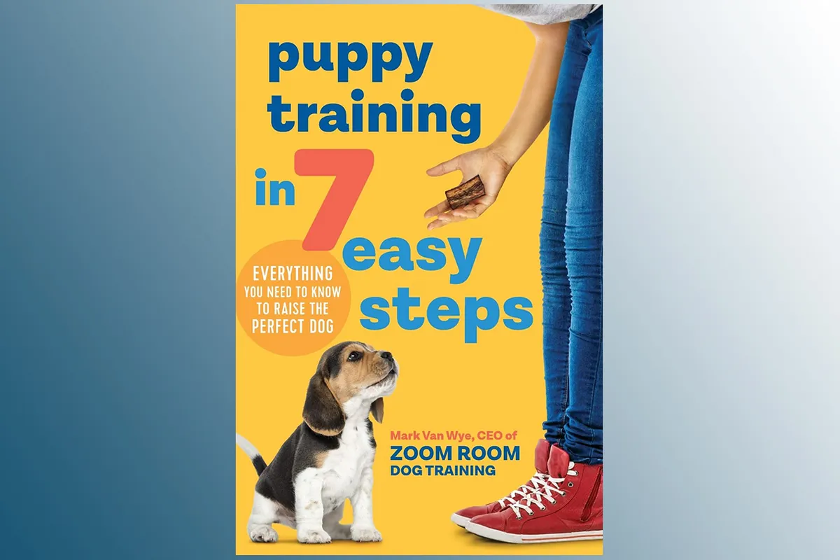Puppy Training in 7 Easy Steps on a blue background
