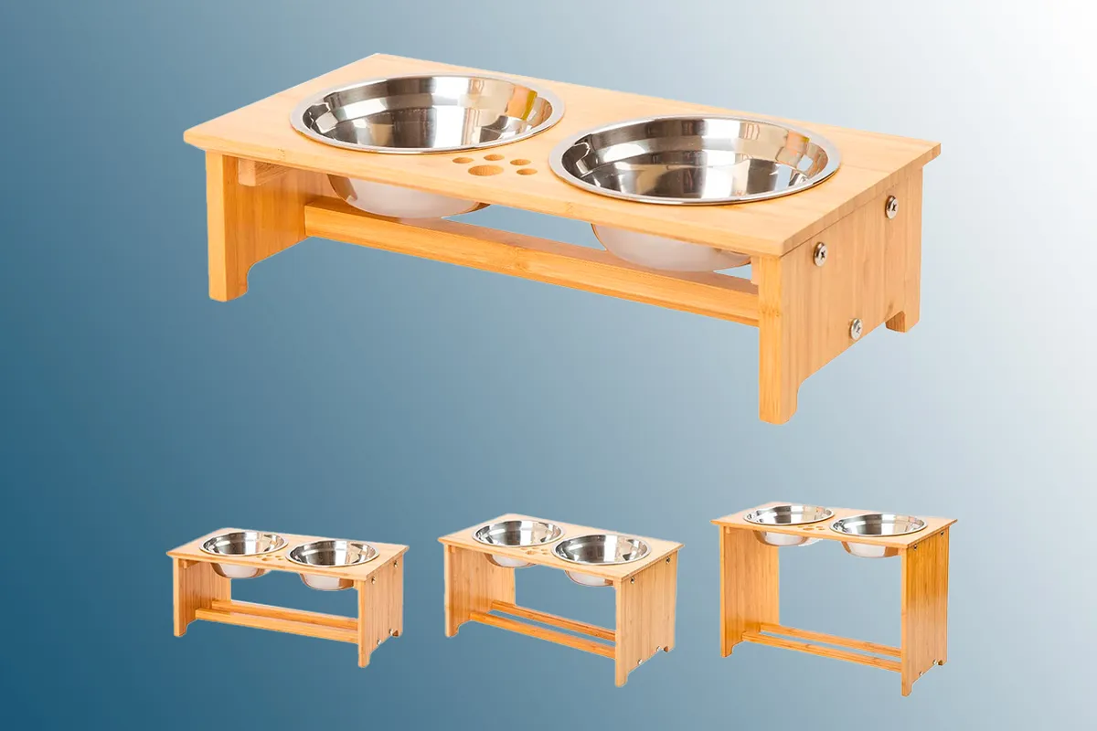 Raised Dog Bowls for Cats and Dogs on a blue background