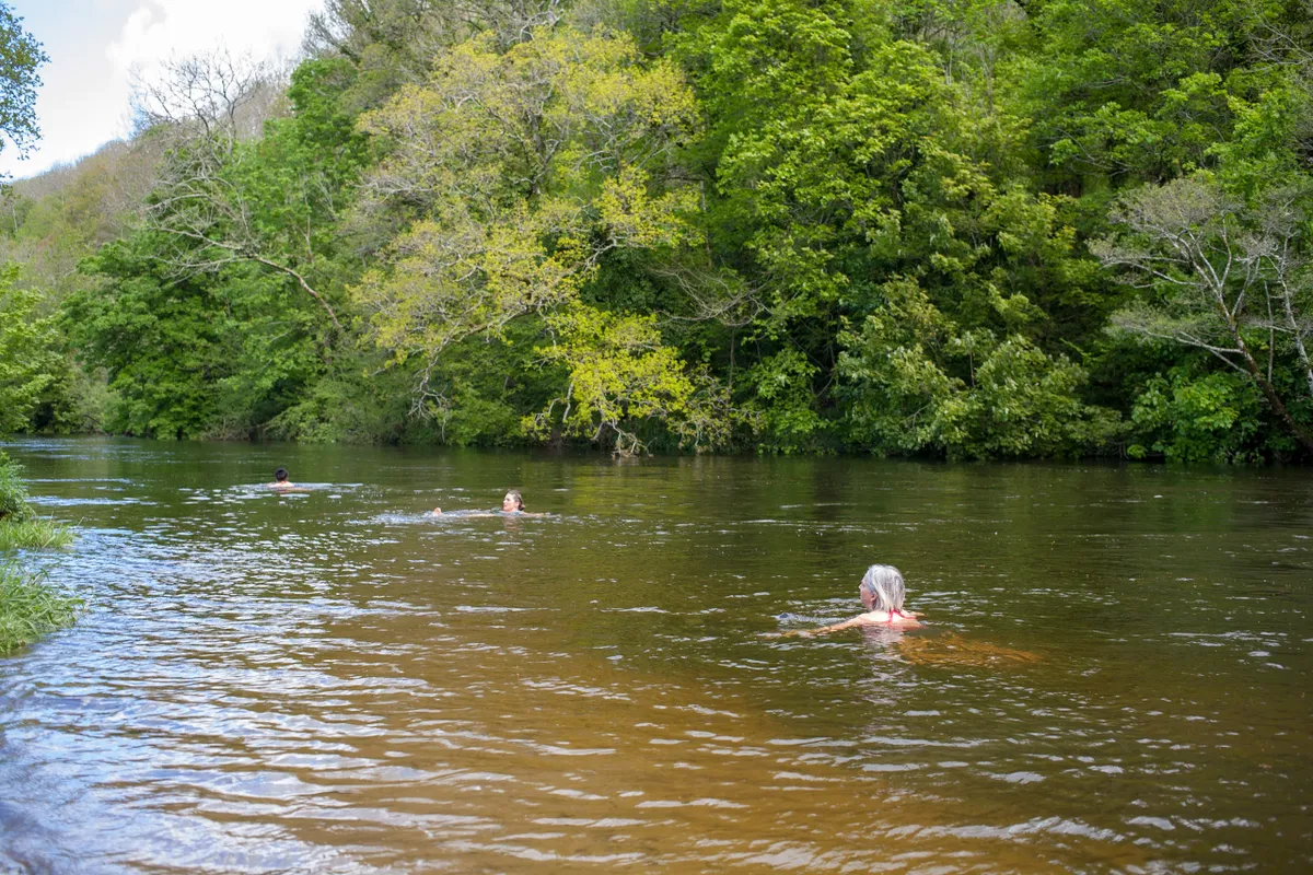 River Dart wild swimming