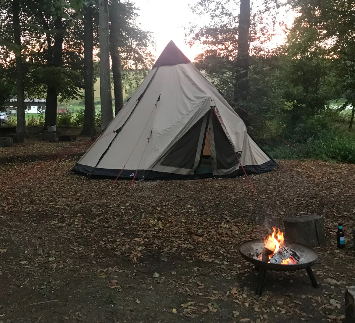 Tipi tent in woodland with a firepit