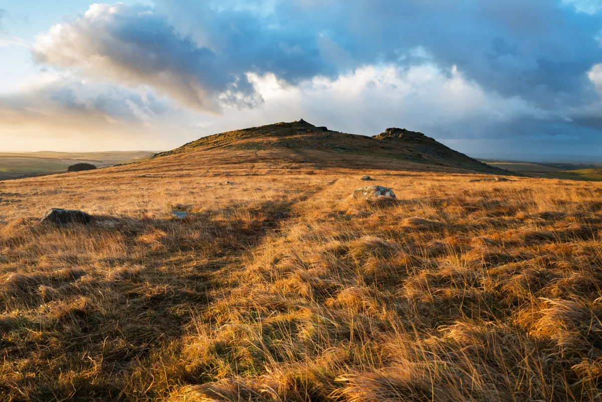 Roughtor at sunrise with dramatic blue sky behind and warm grassy scrub in the foreground