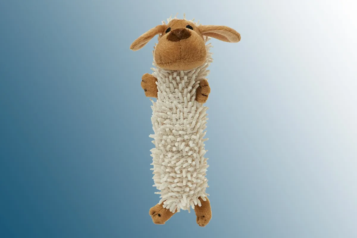 Wilko Fun and Play Puppy Toy on a blue background