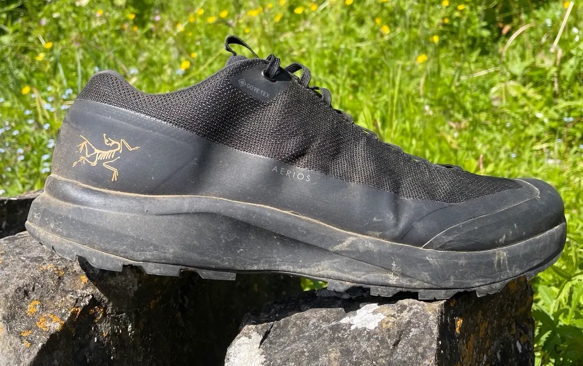 Black hiking shoe