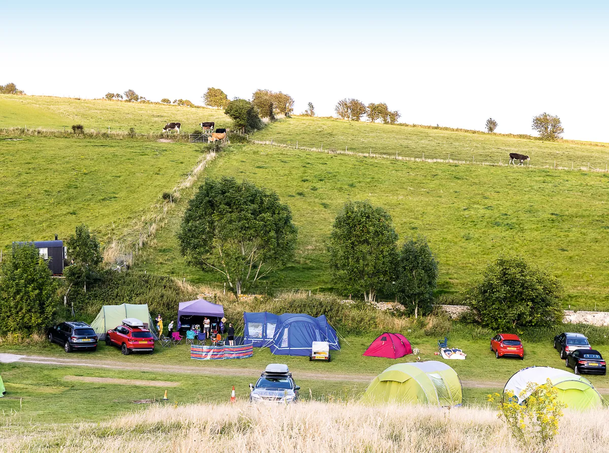 Housedean Farm campground with tents and green hillside