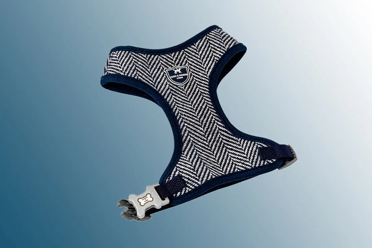 Hugo & Hudson Navy Herringbone Tweed Dog Harness on a blue background