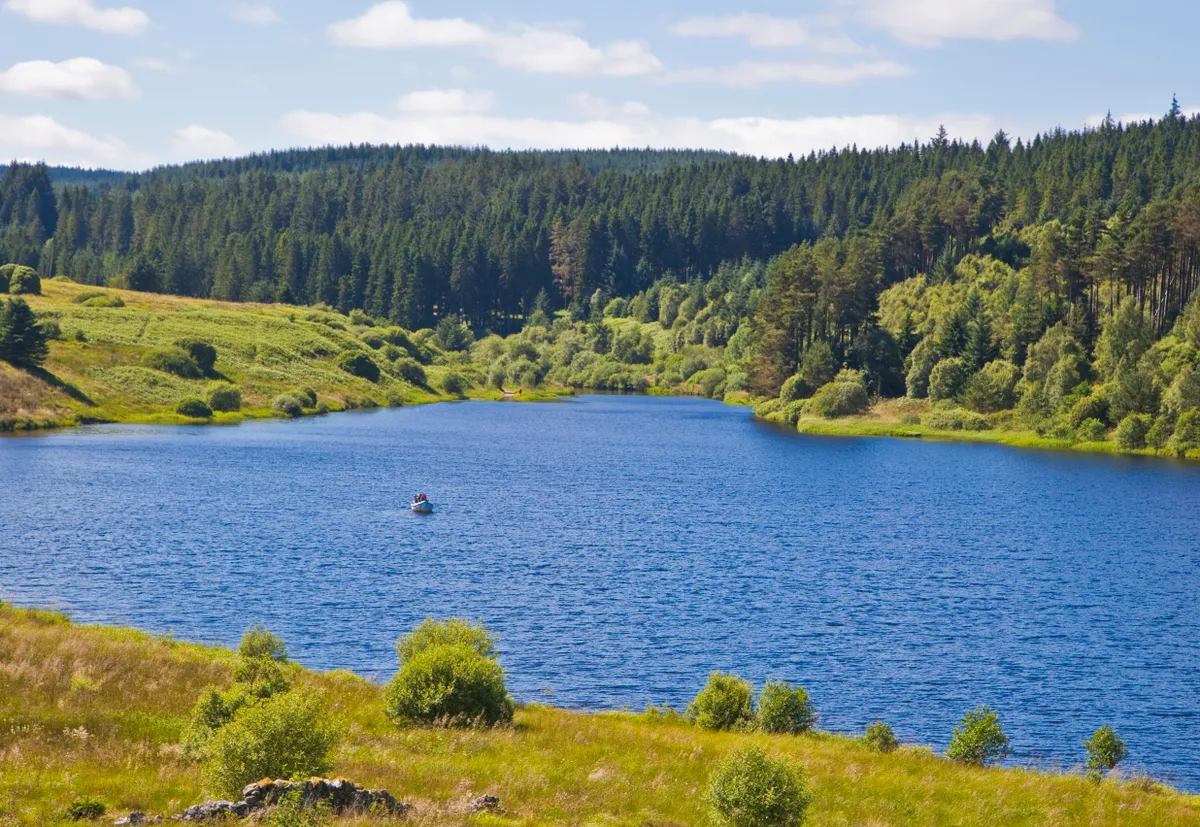 Kielder Water and Forest Park on a sunny day