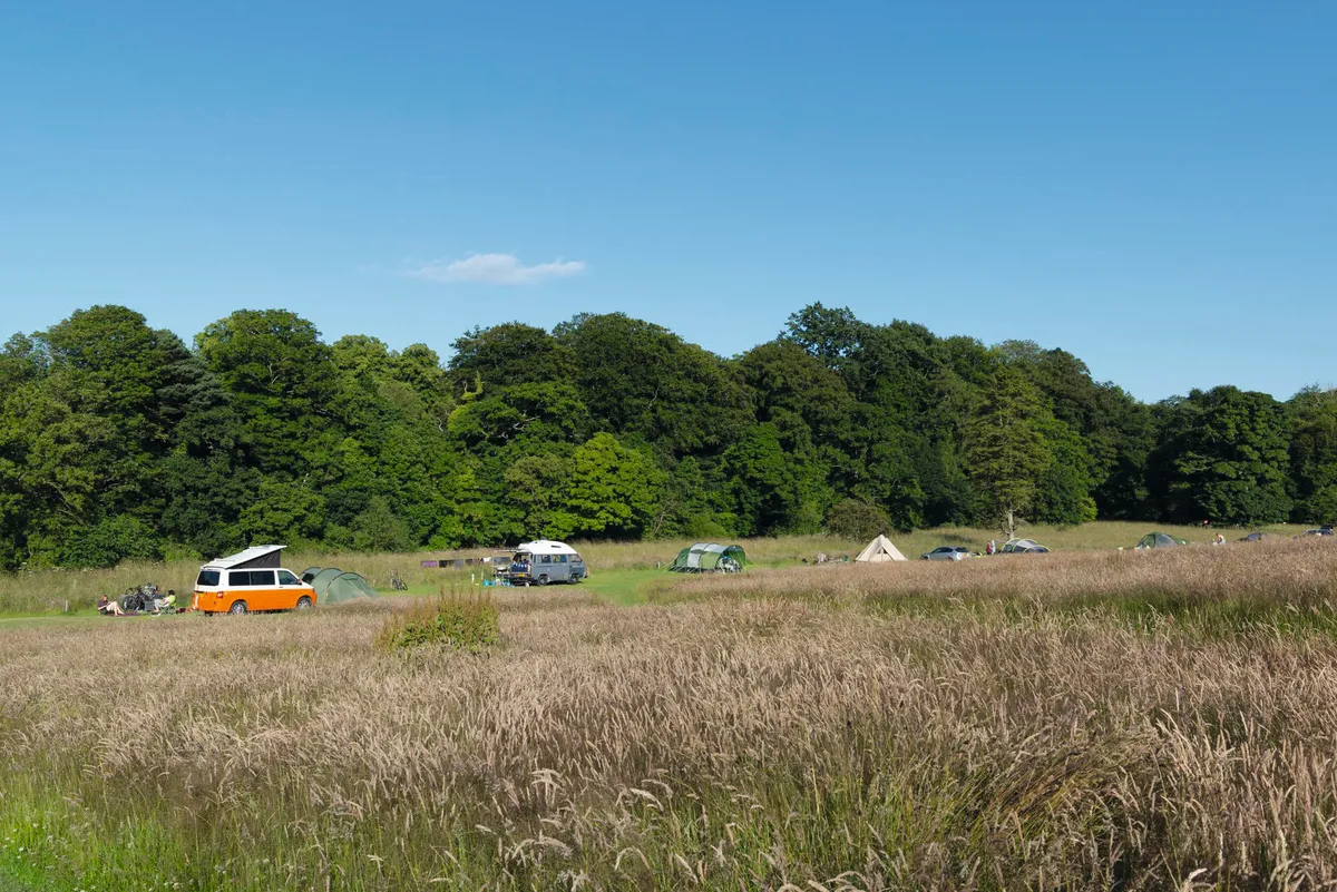Tents nestled next to woodland at the peaceful Walkmill Campsite in a field in idyllic Northumberland countryside