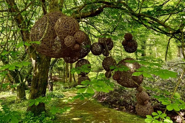 Huge twine balls suspended from trees