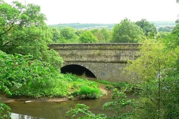 Bridge at Dowley Gap with trees in leaf