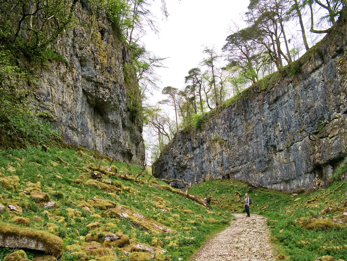 A path rises between the cliffs of Trow Gill, a limestone ravine in the Yorkshire Dales National Park