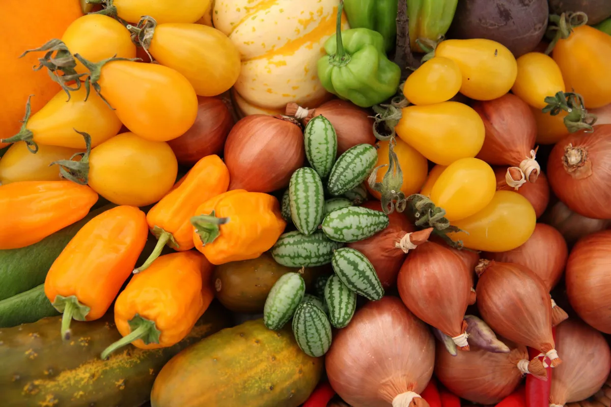 Autumn vegetables such as squashes and marrows