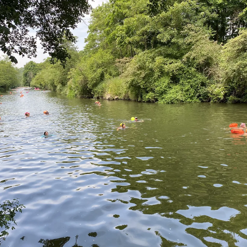Swimmers make their way along the Kennet river at the Bradford on Avon slow swim and picnic event in June 2023