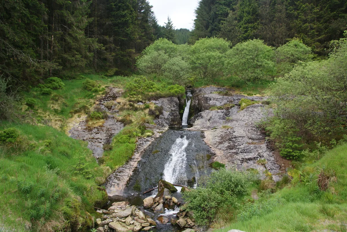 Rhaeadr Blaenhafren waterfall spilling through trees