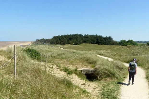 Holm Dunes on a sunny day