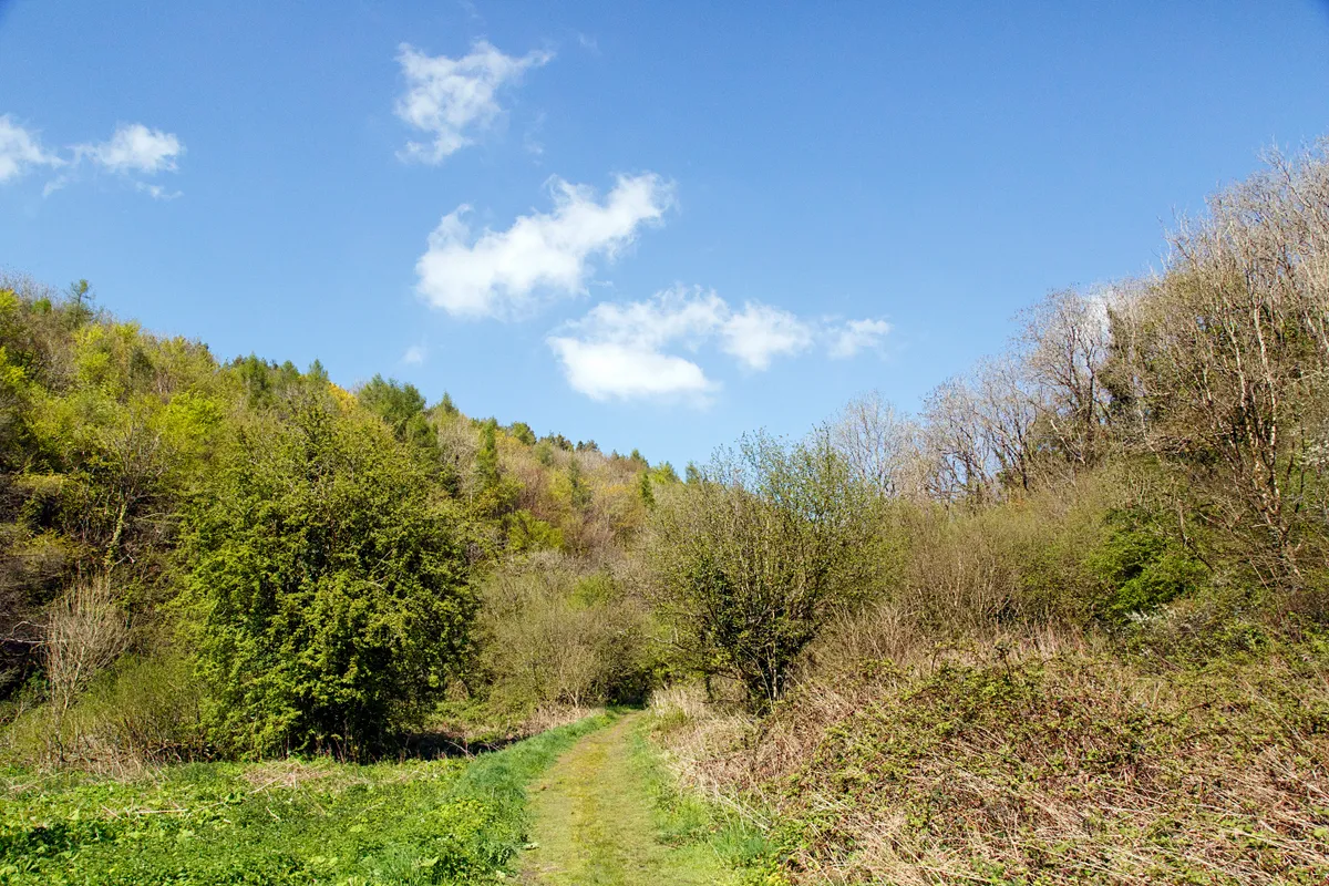Ilston Valley on the Gower with trees and blue sky