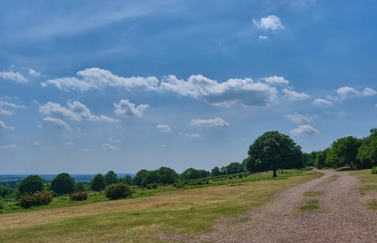 The footpath through the Hill Fort on Kinver Edge in Staffordshire