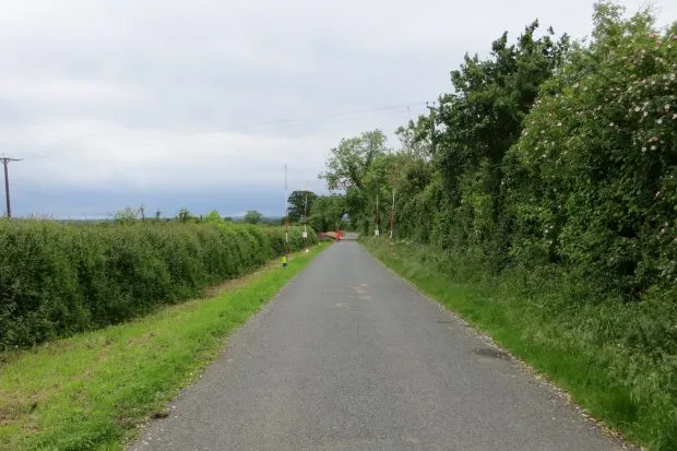 Road running through Thornborough Moor