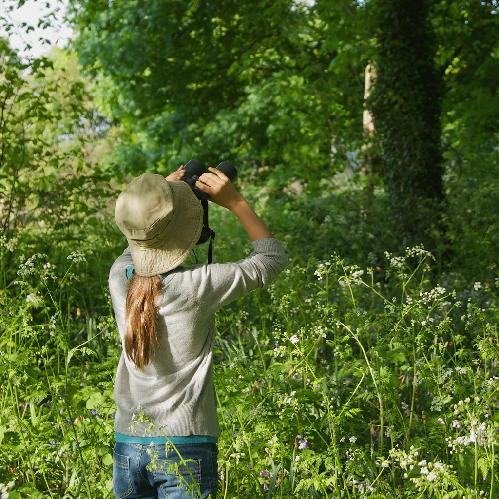 Girl birdwatching in a green woodland