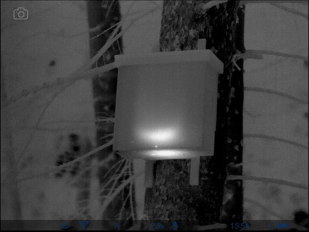 Thermal image of an artificial nest box for pine martens