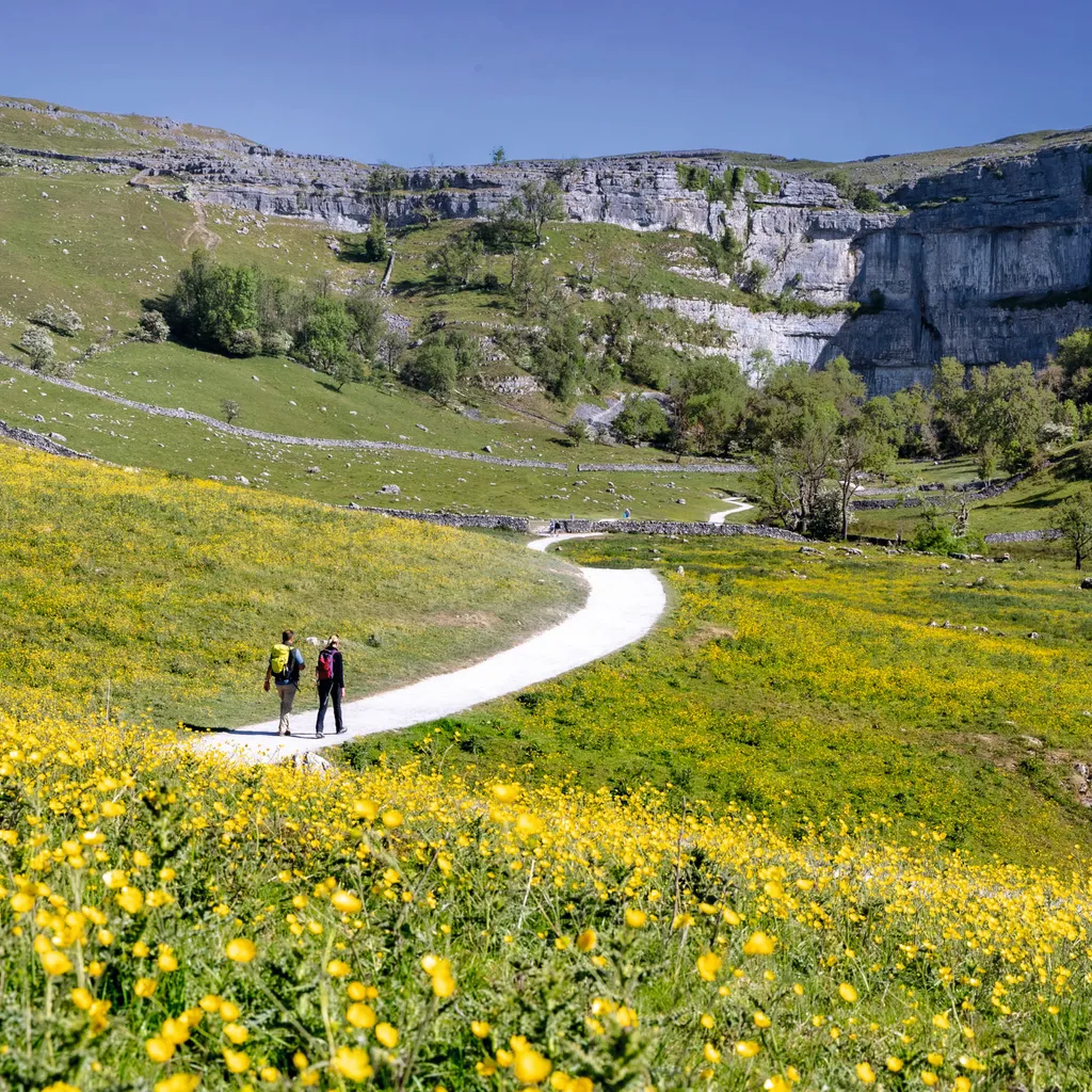 Malham Cove on a sunny day with flowers