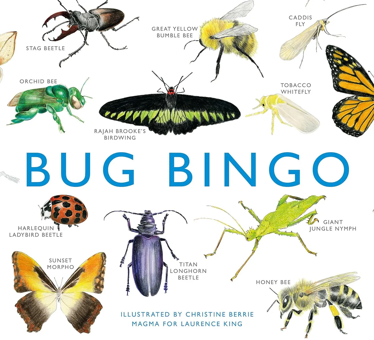 Bug Bingo by Magma for Laurence King