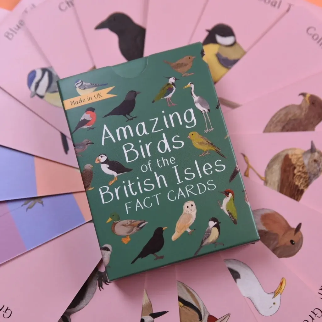 Amazing birds of the British Isles fact cards