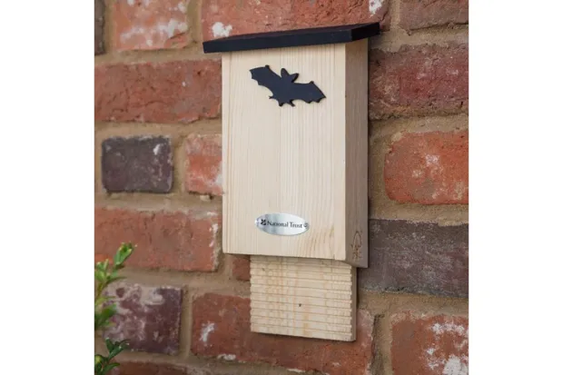 National Trust CJ Wildlife Glamis Bat Box