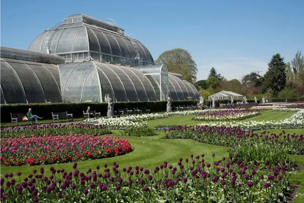 Visit to Kew Gardens and Palace for Two