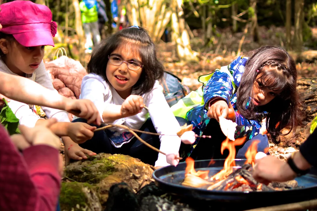 Girls cooking marshmallows on a fire