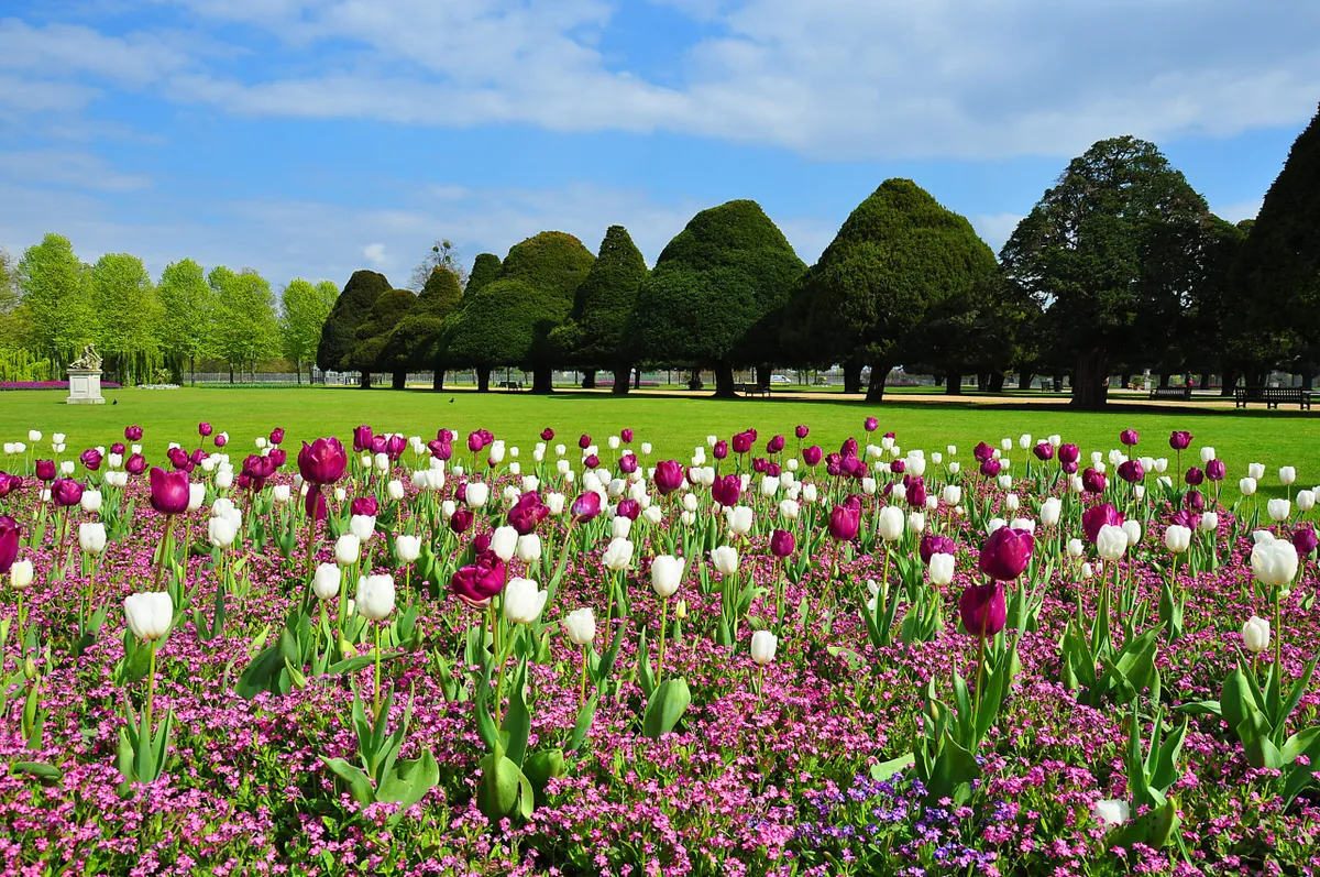 Hampton Court Garden in spring