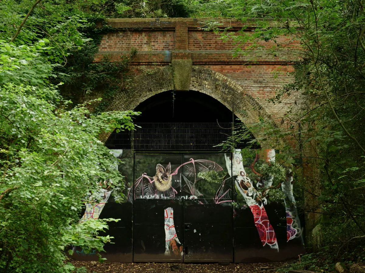 Tunnel at Sydenham Hill Wood in London