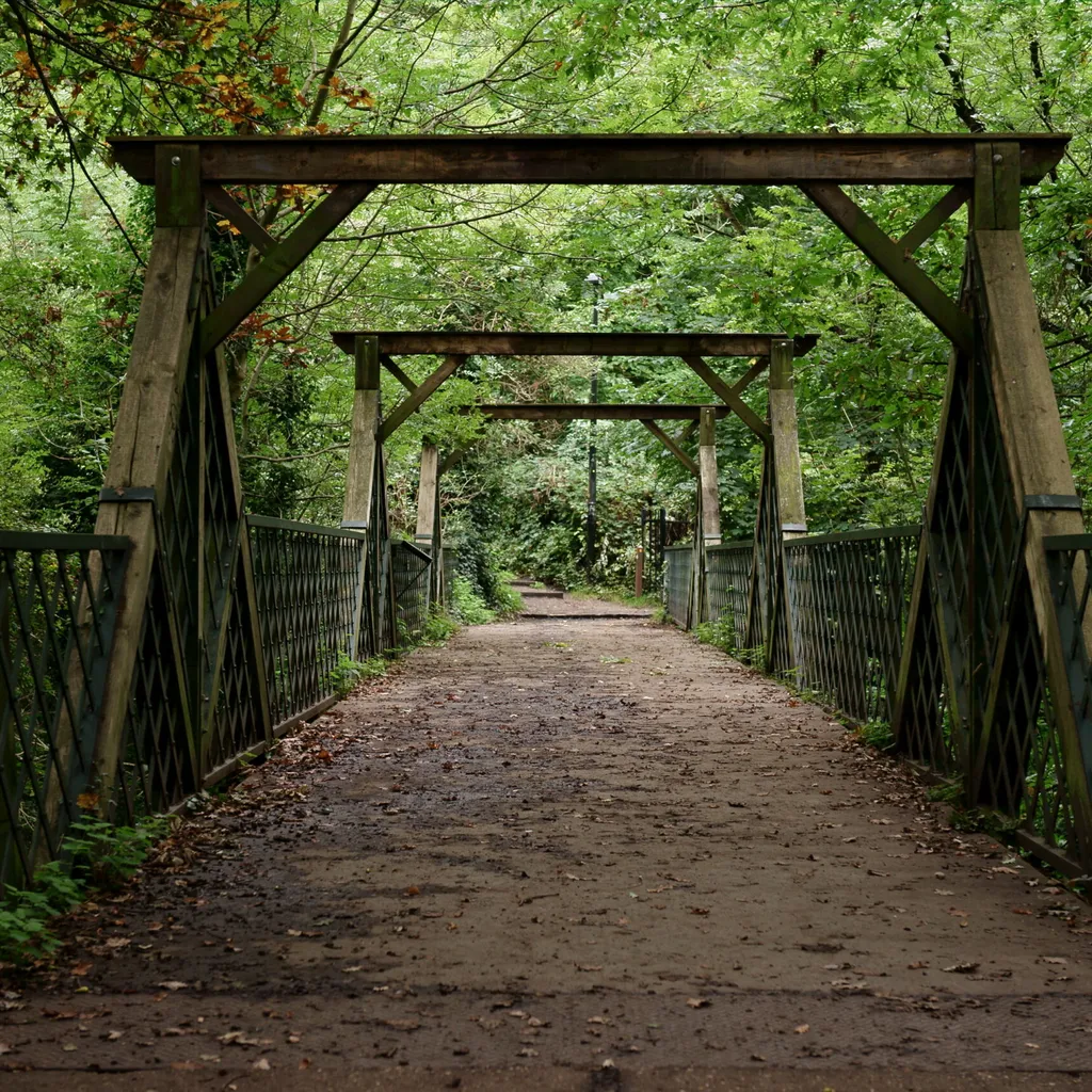 Sydenham Hill Wood bridge