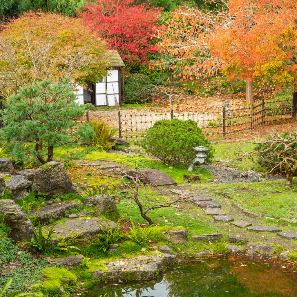 Kingston Lacy Japanese Garden
