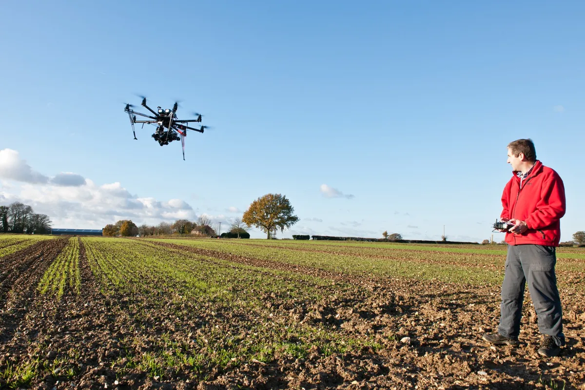 Drones are being used to map blackgrass