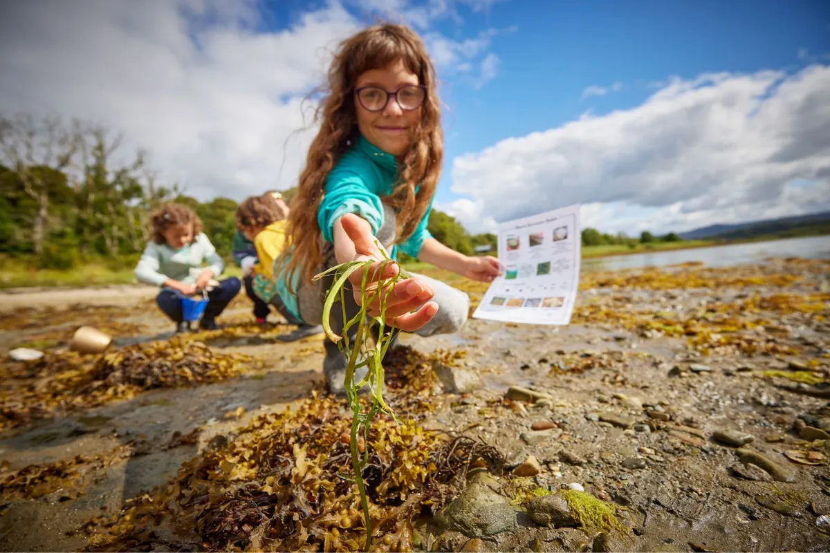 Finding seagrass on the shore