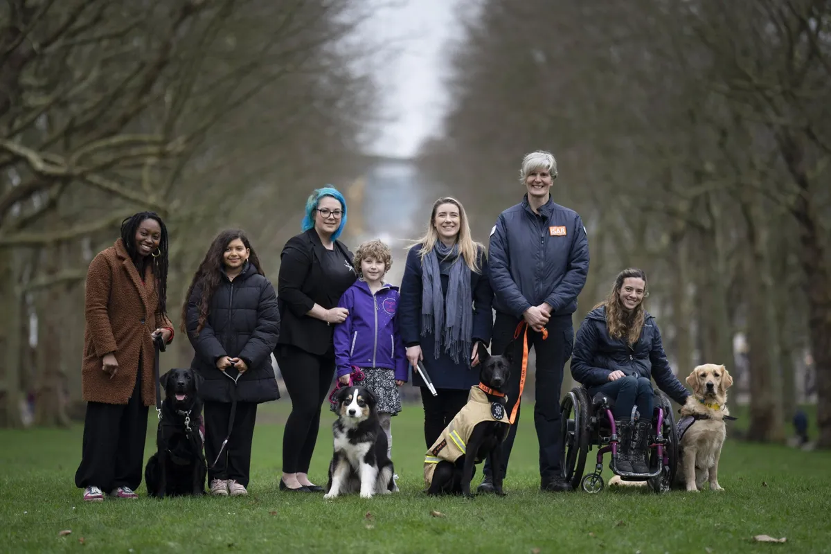 Freya Harris Vote for your Dog Hero of the Year: meet the Crufts 2024 contenders ...