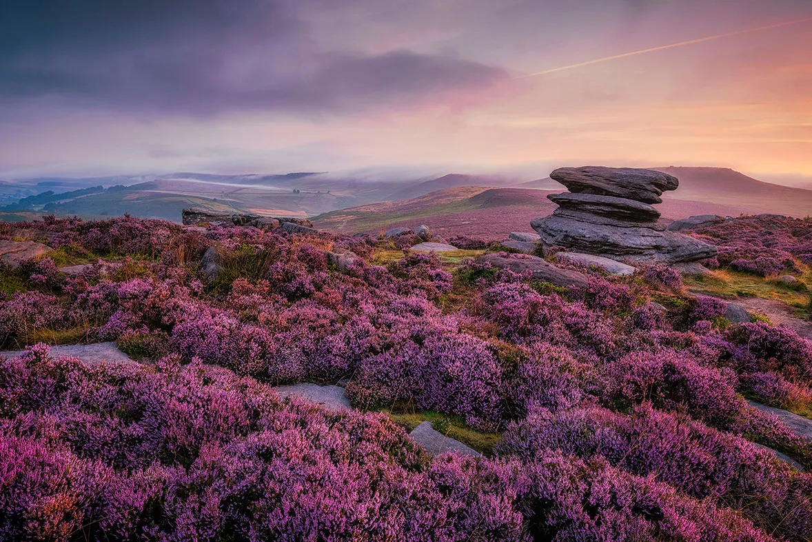 Heather moorland and granite outcrop
