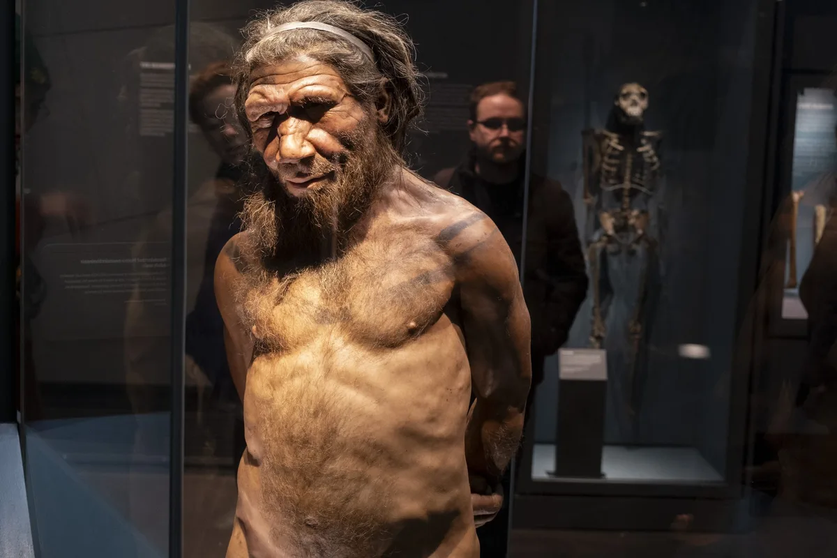 Uncover the mystery of Britain's first inhabitants: Follow the ancient ...