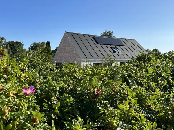 5 simple ways to turn your garden into a nature haven (and cut your ...