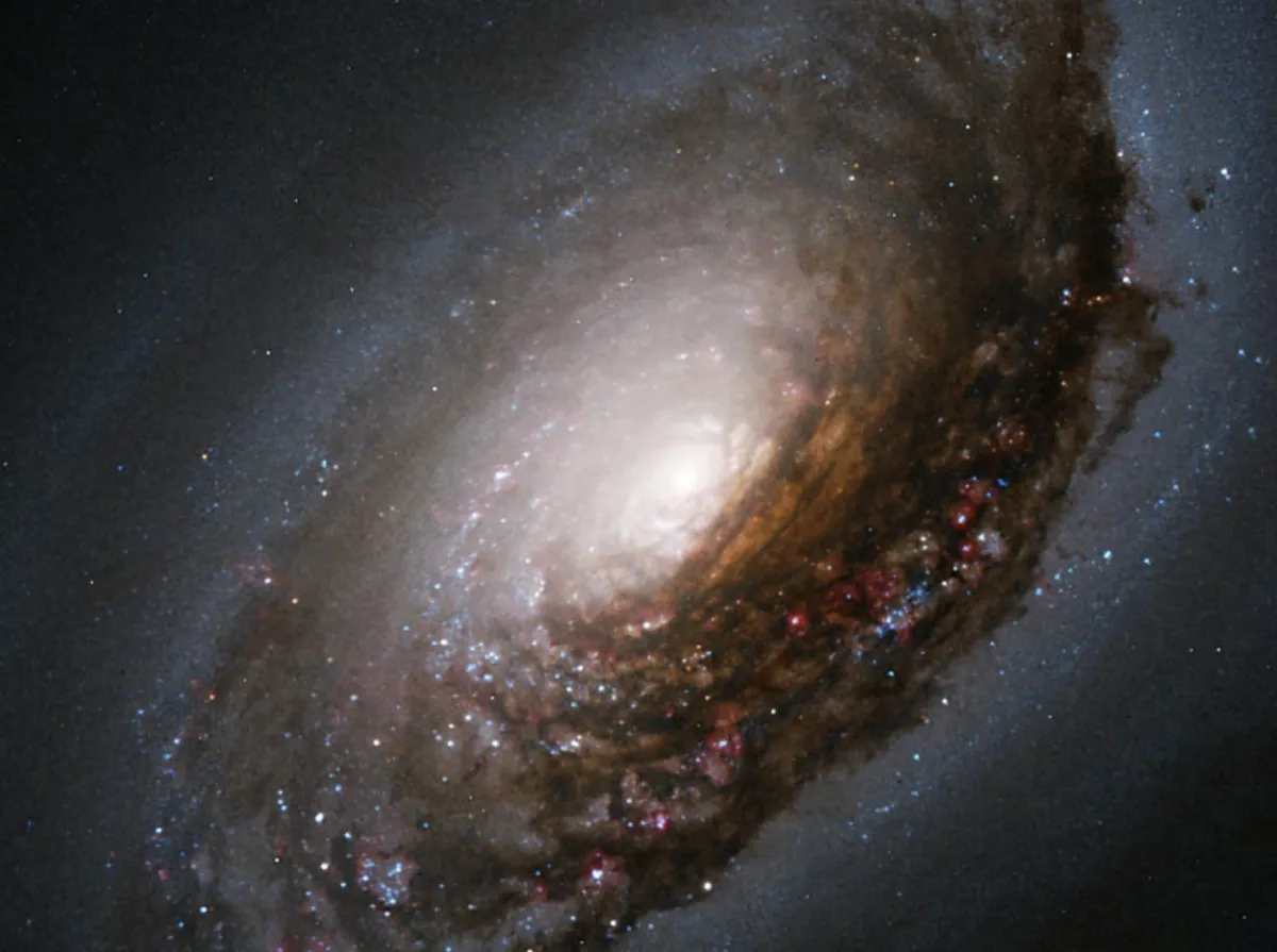 The Black Eye Galaxy M64. Credit: NASA and The Hubble Heritage Team (AURA/STScI); Acknowledgment: S. Smartt (Institute of Astronomy) and D. Richstone (U. Michigan)