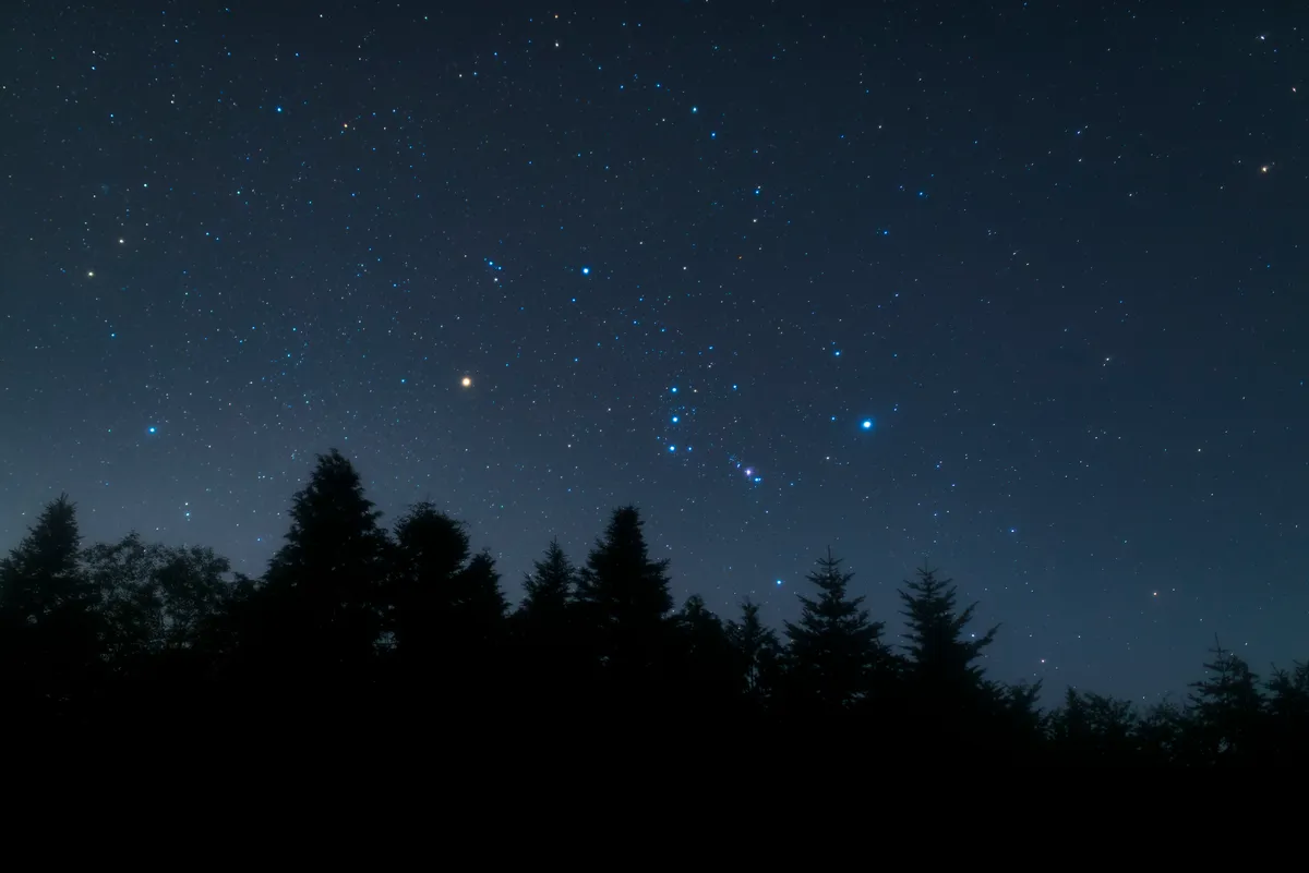 Orion constellation over a dark forest at night. Credit: Yuga Kurita / Getty Images